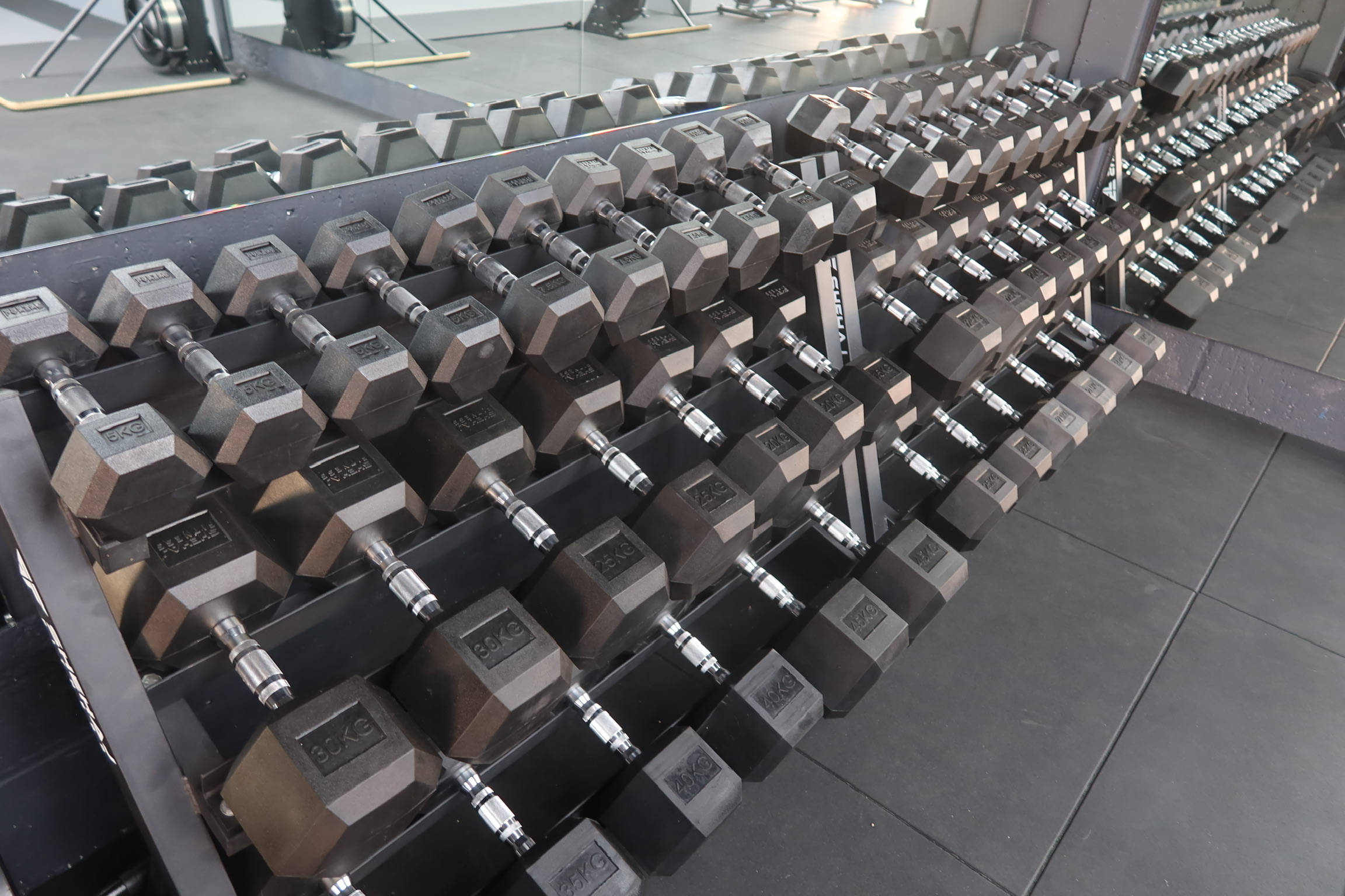 The dumbbell rack, 2.5kg to 50kg